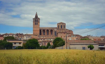 Ferreteria de Sineu - Cadena88 en Sineu